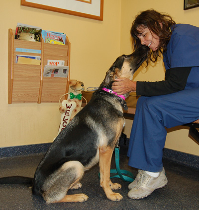 Jasmine von Jungfrau sitting 2